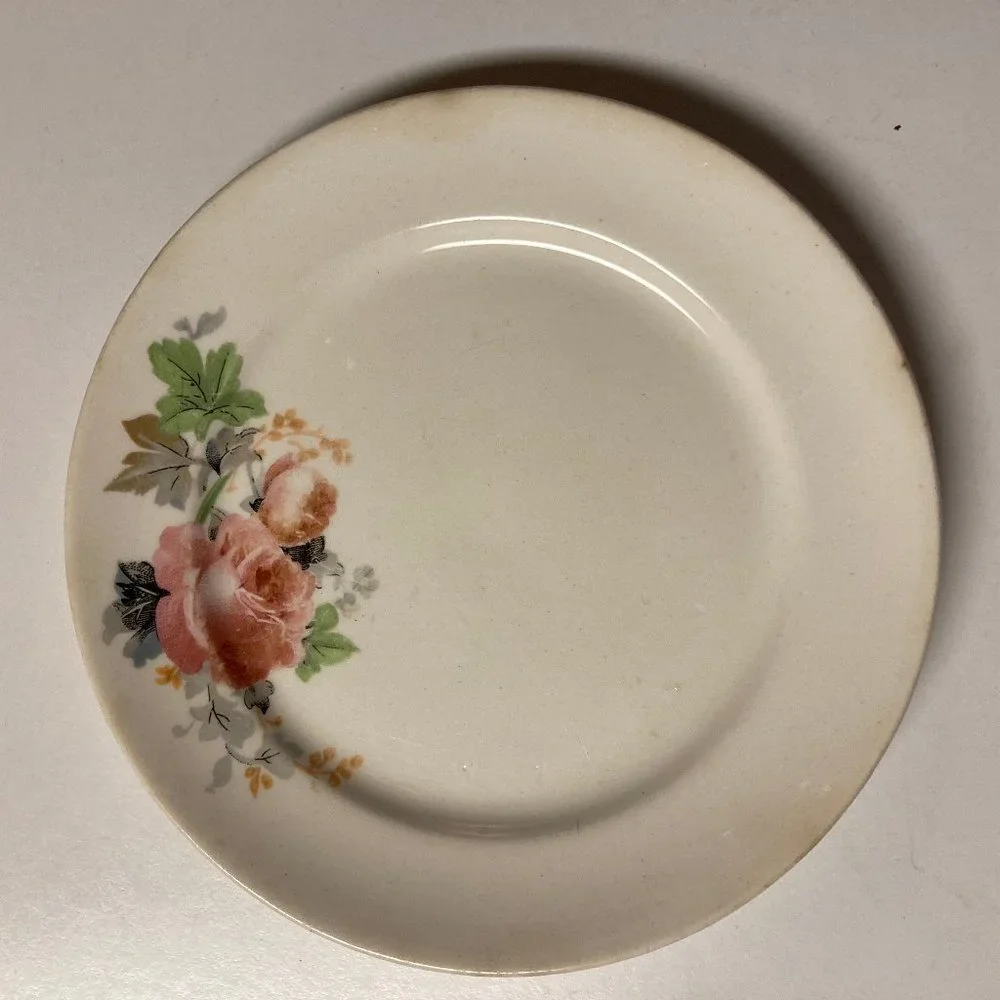 Vintage Salad Plates (2) 6 Inches with Pink & Blue Flowers / Roses